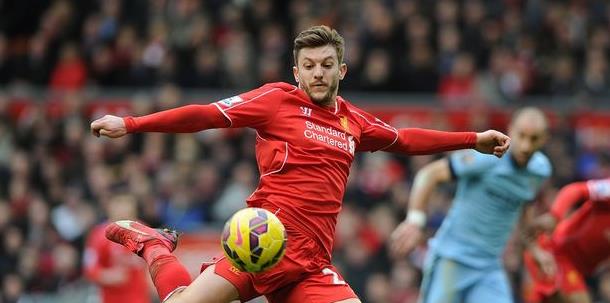 最新引入的 最新引入的